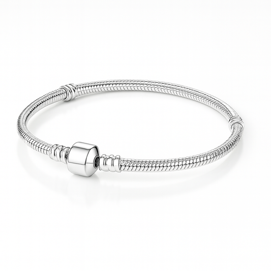 Classic Snake Chain Bracelet